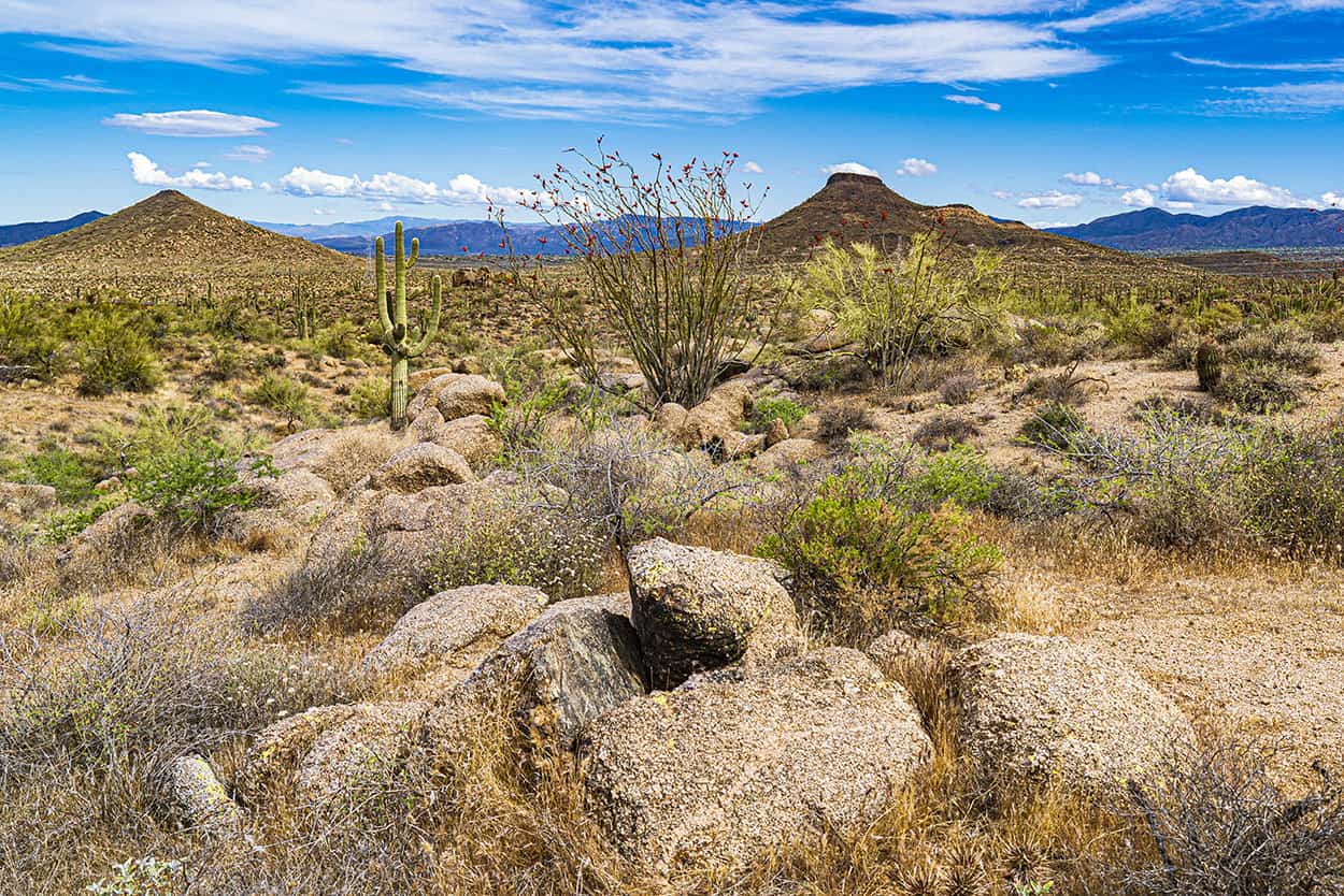 Scottsdale's picturesque landscapes invite adventurers of all levels.